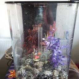 Biorb fish tank with everything ready to plug in and go.  Can be used for cold water or tropical fish.  Selling due to upgrade.