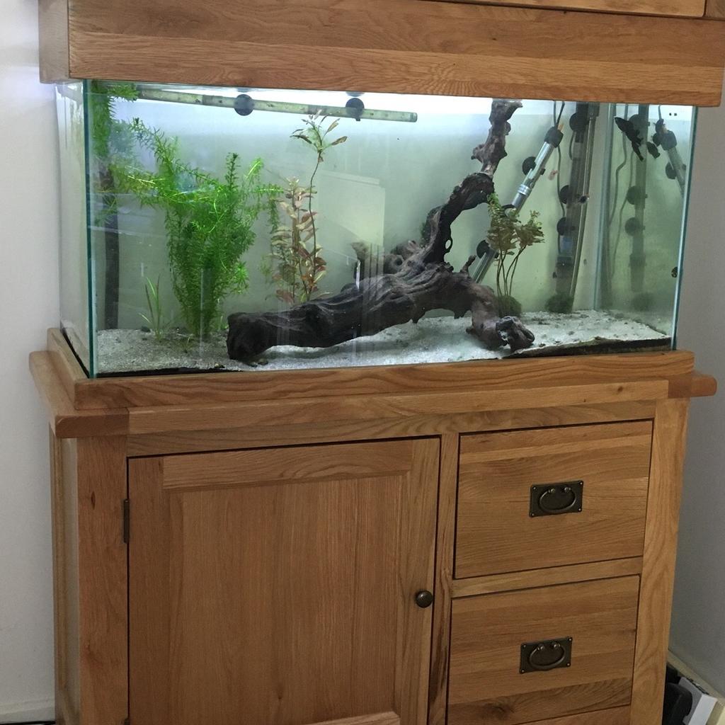 Aqua oak outlet fish tank