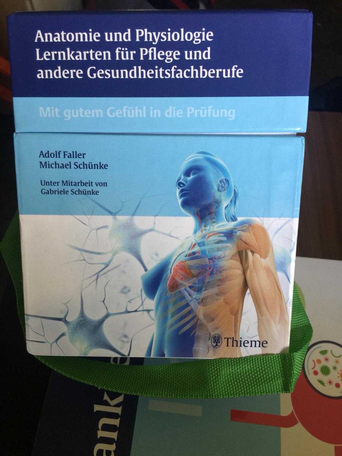 Thieme Lernkarten Anatomie in 66996 Ludwigswinkel for €20.00 for sale
