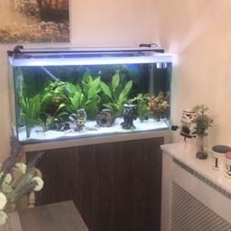 Fluval f90 open top 129 litre aquarium. Water tight as it is still currently in use. Great set up. Glass has very fine scratches but cannot be seen once water is in. No water damage to the cabinet. Comes with lights, Fluval 206 external filter and a very large piece of bogwood. Buyer must collect. No fish are included.