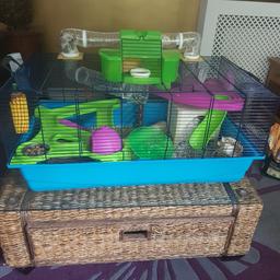 Nearly new large hamster cage,bought as surprise for daughter's birthday,but she ended up buying 2 rats instead of Syrian hamster !!! We need a cage of height for rats...
Cage in new condition ,has two split levels, two built in houses ,two climbing ramps and a tunnel that leads to a top green lookout area ,fab cage. ..for hammies or mice !Easy carry handles and double cage doors.
Cage Dimensions : 78 cm x 49 cm x 37 cm ( plus tunnel and green lookout 15cm )
Sawdust/food Inc.
Ask any questions