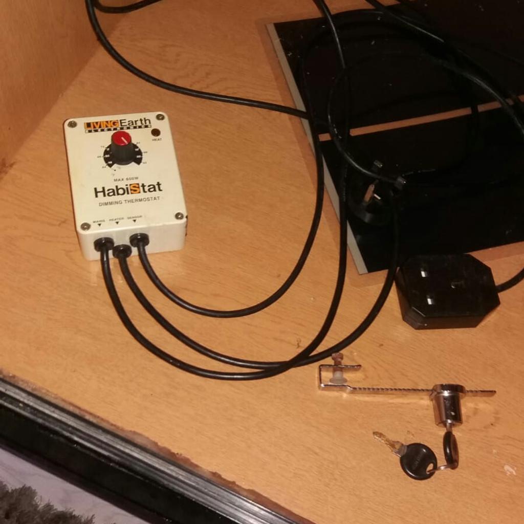 Complete vivarium / viv setup in StanfordleHope for £50.00 for sale Shpock