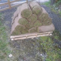 Good quility lawn turf , 2 pound each or 50 pound buys the lot, dont know exact measurements
