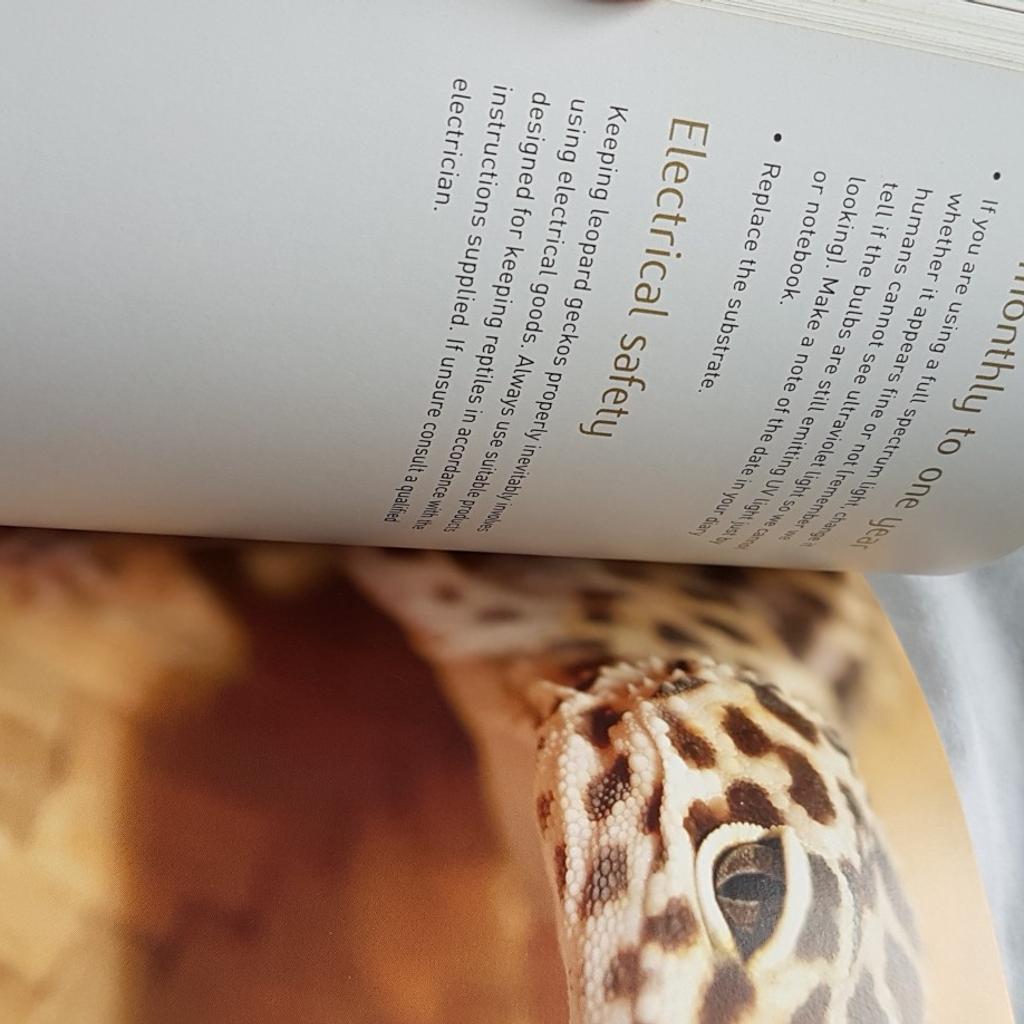 Leopard gecko book in B31 Birmingham für £ 2,50 zum Verkauf Shpock AT
