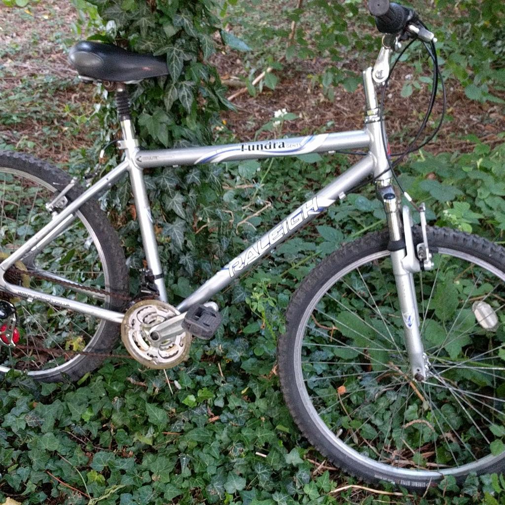 raleigh tundra gents mountain bike