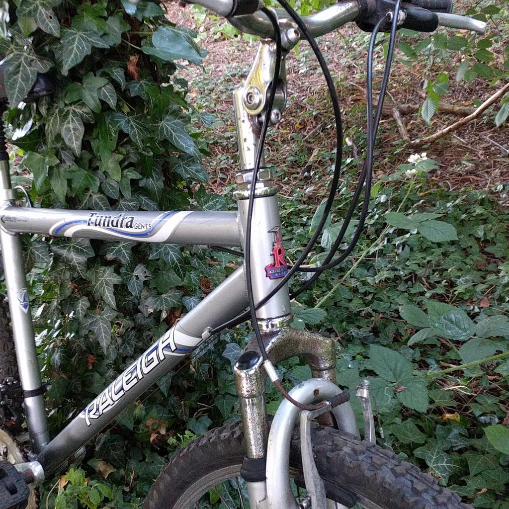 raleigh tundra gents