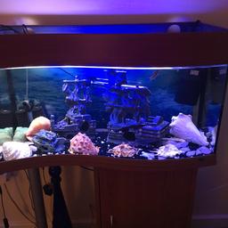 Lovely fish tank measuring 32 inches long 47 inches high 13 inches wide . It has a curved front which makes it different . It has a storage cupboard underneath it . It has some fish , ornaments , heater , pump, filter , food , everything you need