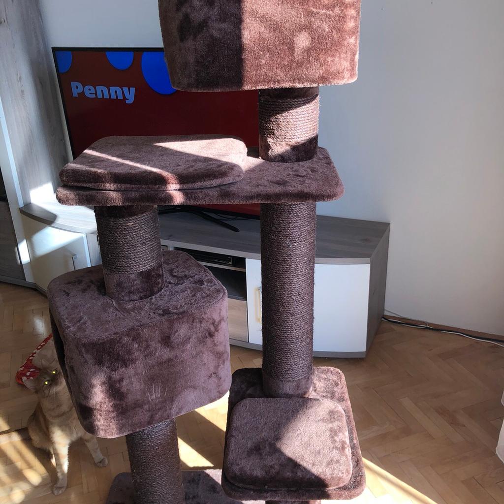 Europet-bernina Kratzbaum Rock Western in 5280 Braunau am Inn fr  130,00  zum Verkauf | Shpock AT