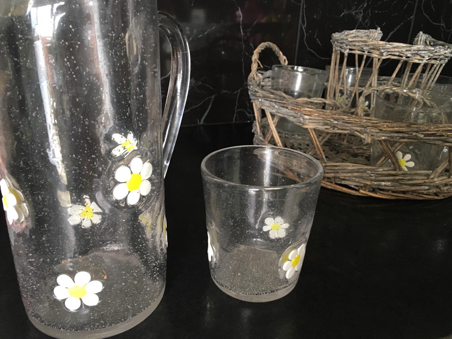 Daisy Glass Jug and Glasses Set in NN7 Northamptonshire for £10.00 for