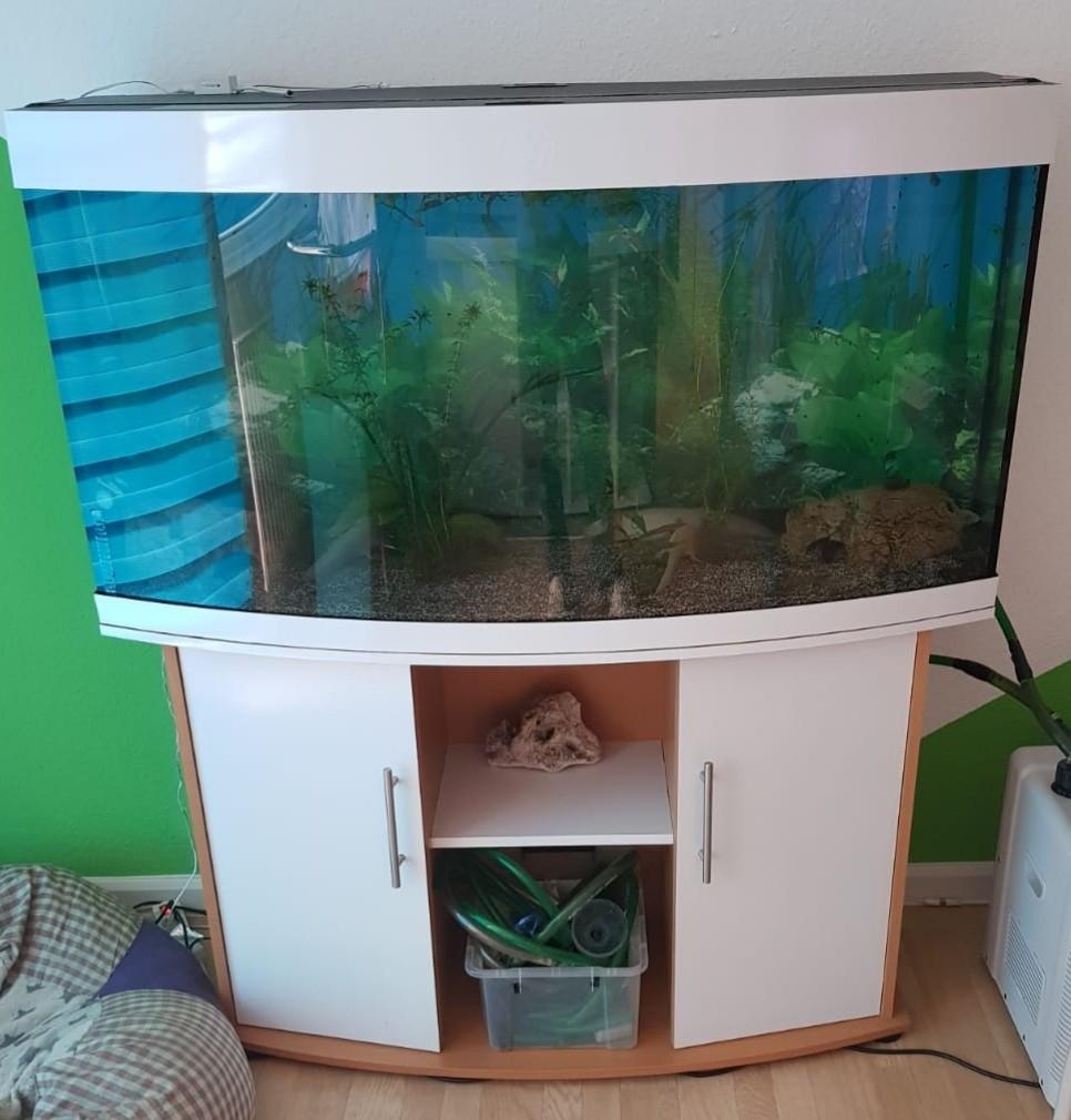260 Liter Aquarium mit unterschrank in 07549 Gera for €200.00 for sale