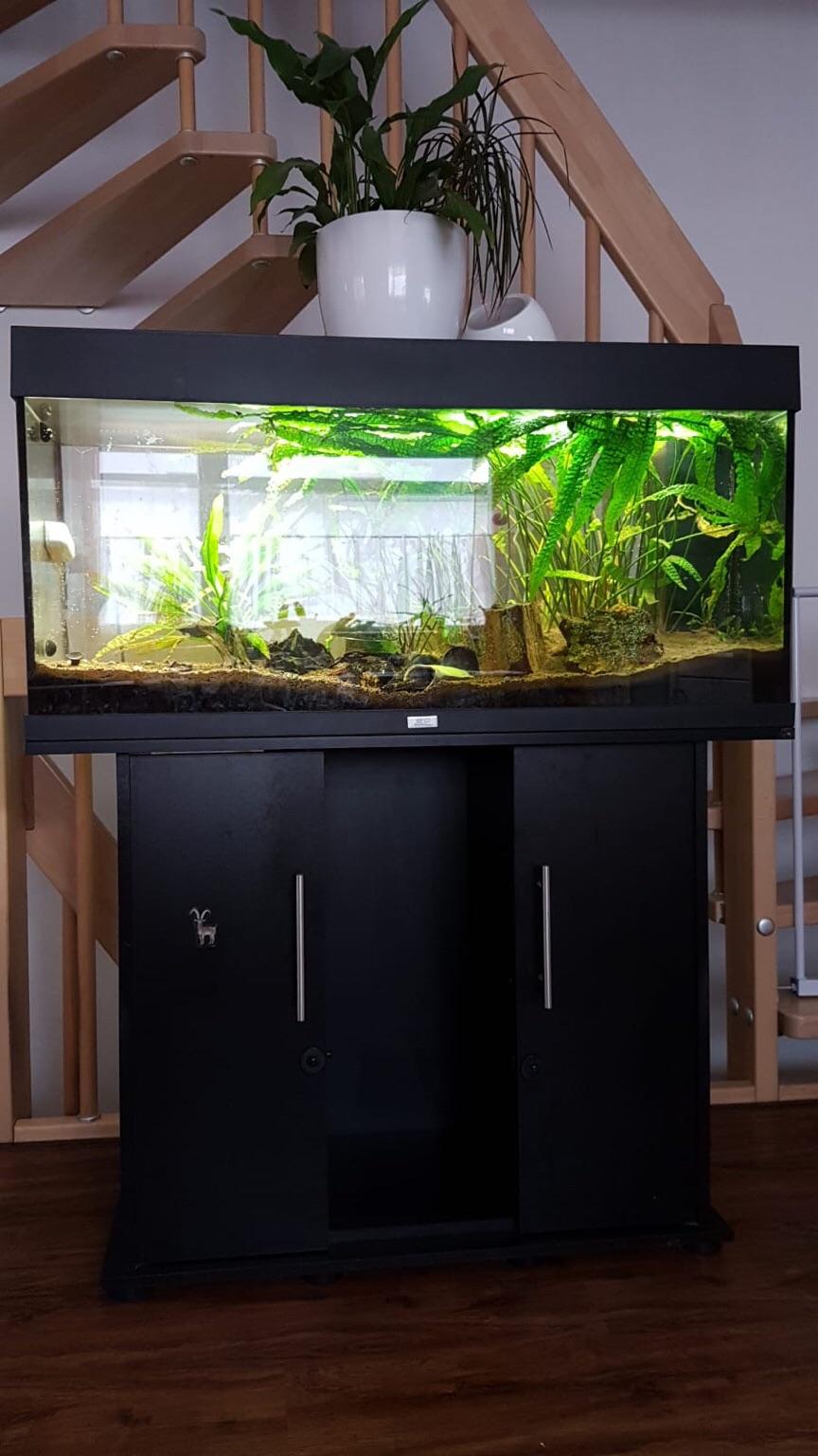Aquarium 180 Liter in 86899 Landsberg am Lech für 65,00 € zum Verkauf ...