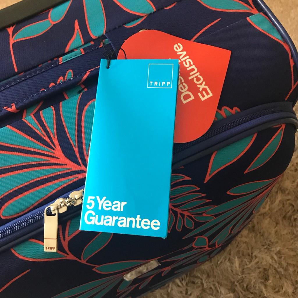 Debenhams discount it suitcases