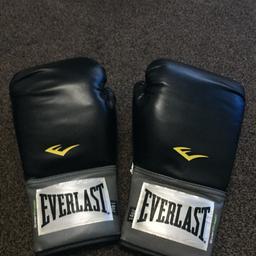 Everlast 14oz punchbag/training gloves, hardly used, like new.