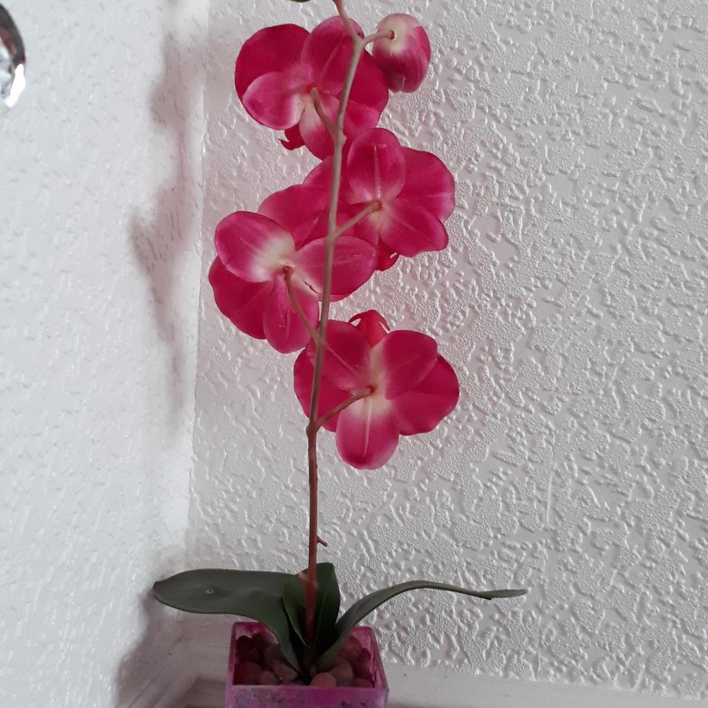 Dunelm artificial flowers in DY1 Dudley for £6.00 for sale Shpock