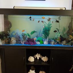 400 Litre Large Fish tank with table ,all the decoration and fishes inside. We have 14 fishes comes with pump and lighting. Collection only as item is very heavy. Plz note the shells at the bottom are not included.