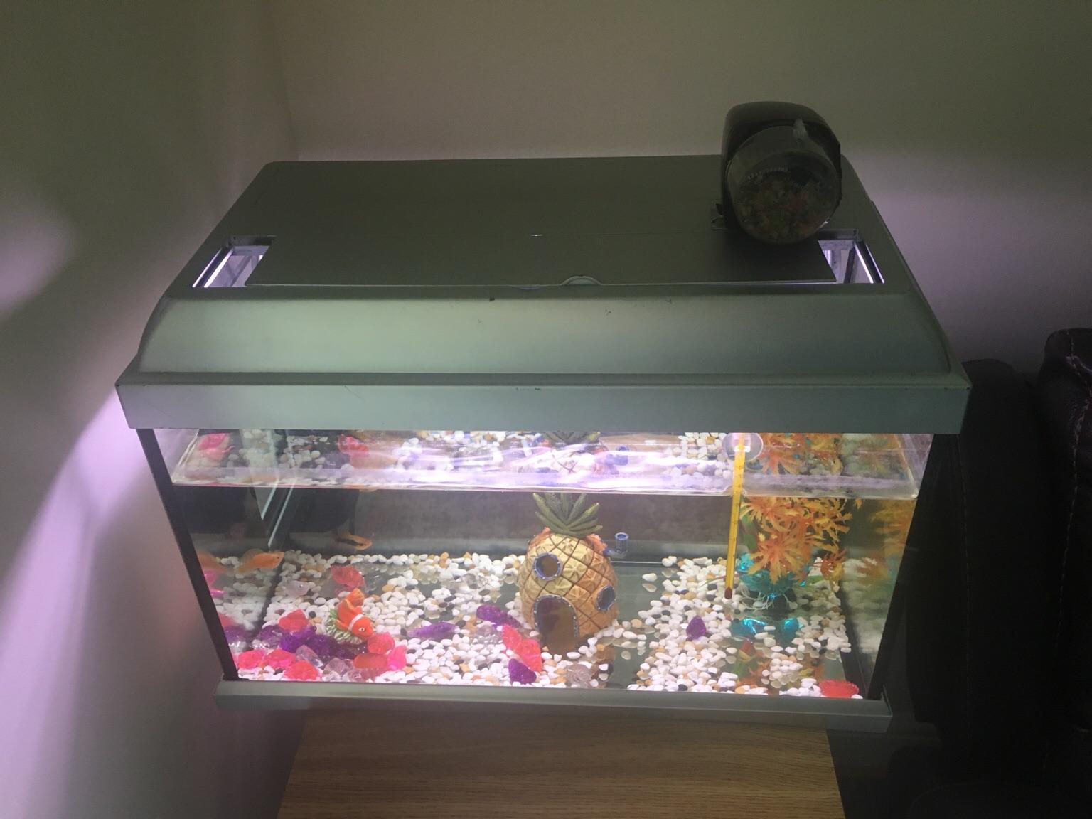 30L fish tank setup , a 15L tank and 4 fish in WS10 Walsall für 25,00 ...