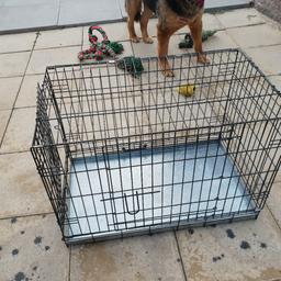 Medium dog used but in great condition not been used for a while, will be cleaned. Got removable tray. Was only used for a small dog so he had room in it. Can be folded down. Need gone asap