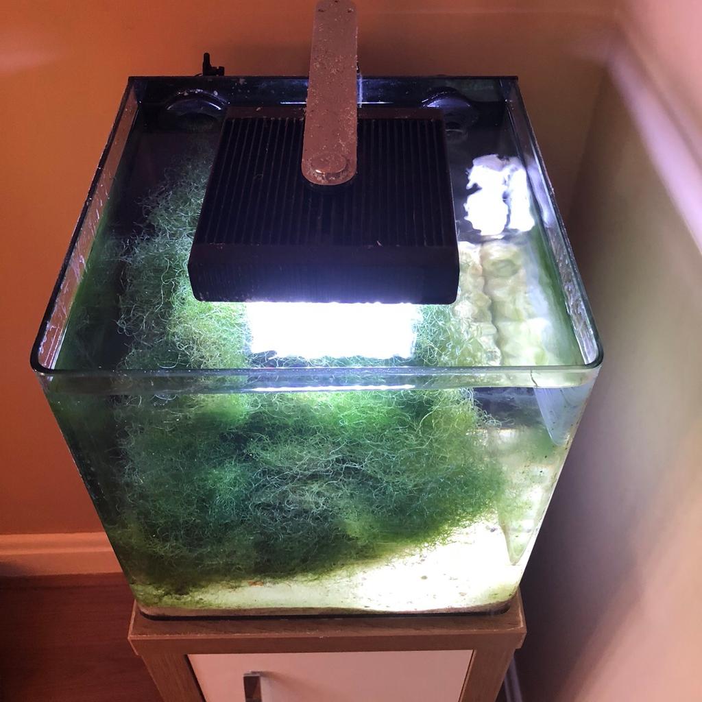 40 litre Marine Tank in TS10 Redcar für 70,00 £ zum Verkauf | Shpock DE
