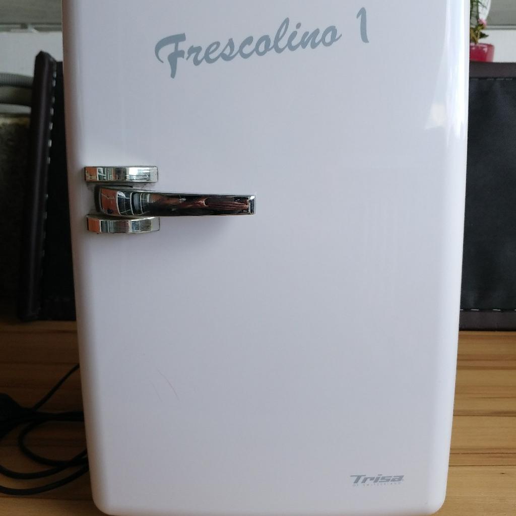 Mini-Kühlschrank 19 Ltr. inkl. Netzstecker, 12V