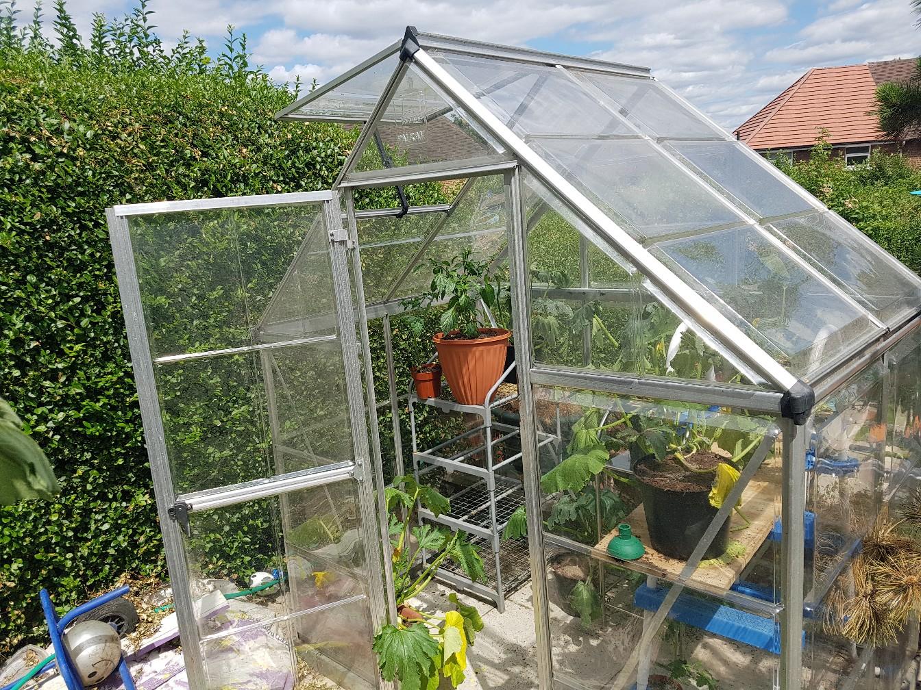 Polycarb Greenhouse 6x4 in S9 Sheffield für 90,00 £ zum Verkauf Shpock DE