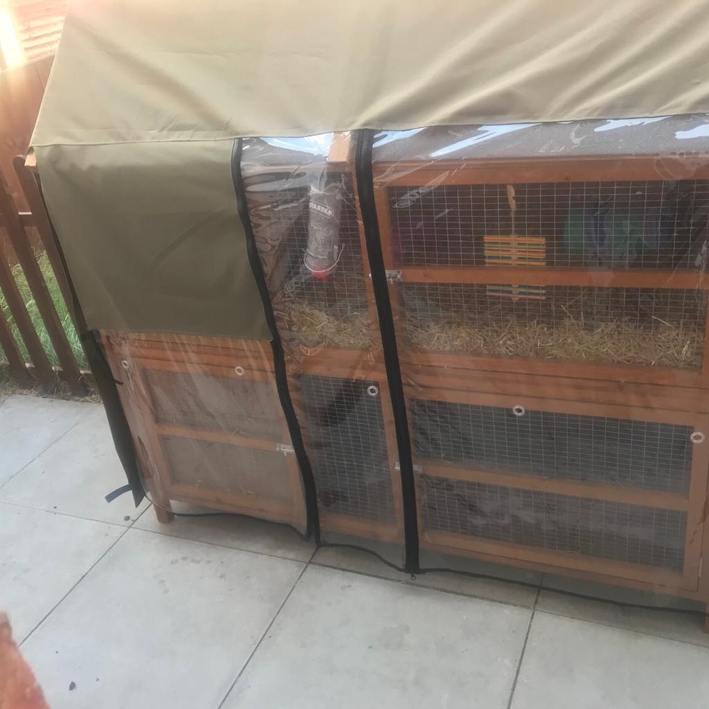 Honeysuckle rabbit outlet hutch