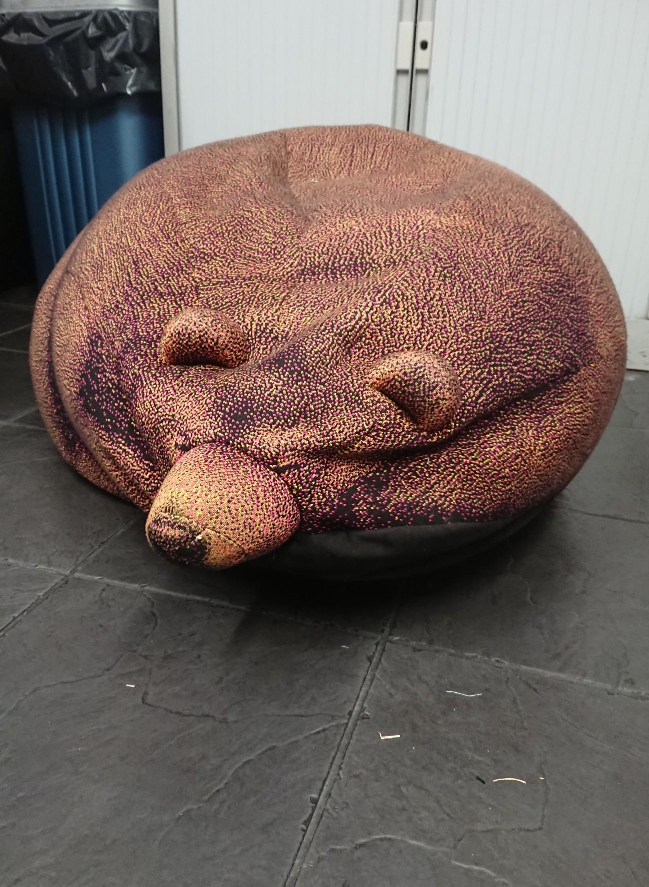 Sleeping bear bean bag in IP28 Heath für 25,00 £ zum Verkauf Shpock DE