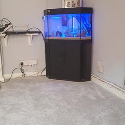 I have a lovely corner jewel tank for sale with fish full equipment to run it as tropical led blue light filter sand rocks it currently holds one discus and about 30 fish in total moght be more in babies
Tank has no visible scratches when full and none i could see empty
Cuboard is second hand and not in best shape but more just needs a good clean up which il happily do any questions feel free to ask
Im only getting selling due to looking to move areopen to offers