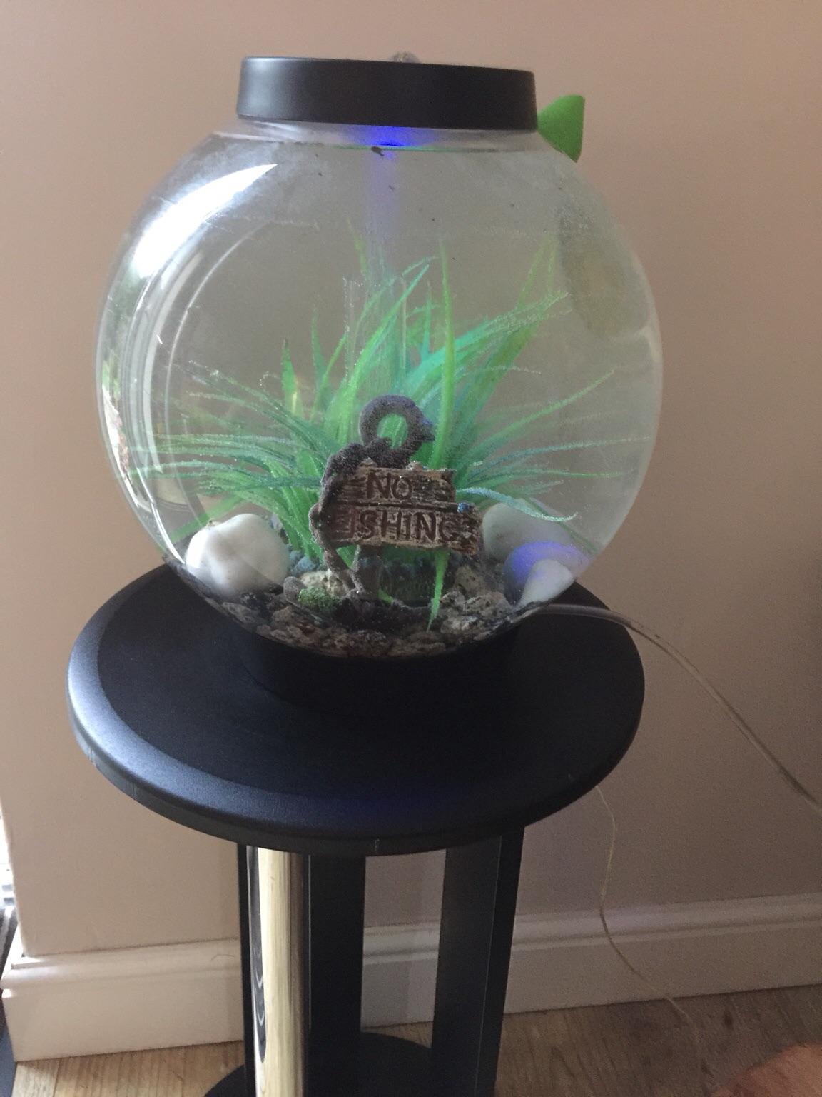 Biorb aquarium fish tank in Manchester für 40,00 £ zum Verkauf Shpock DE