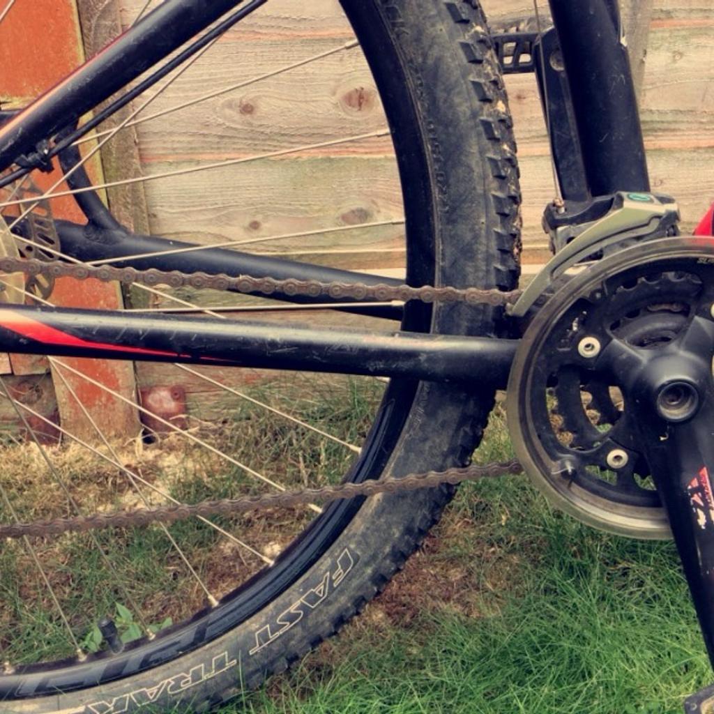 specialised 29er hardtail