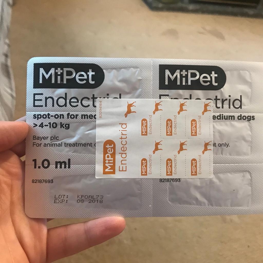 Endectrid flea for outlet dogs