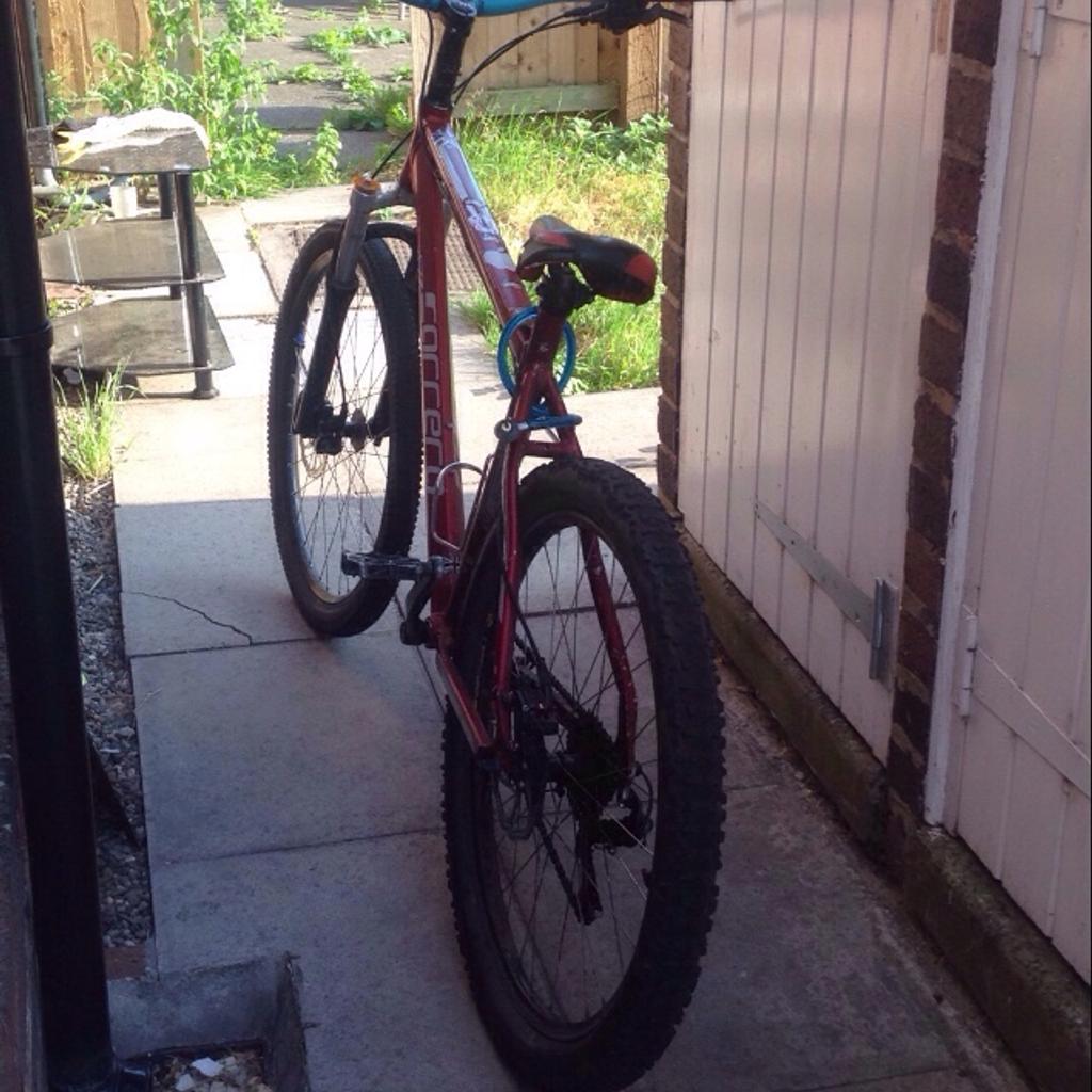 carrera bike mudguards