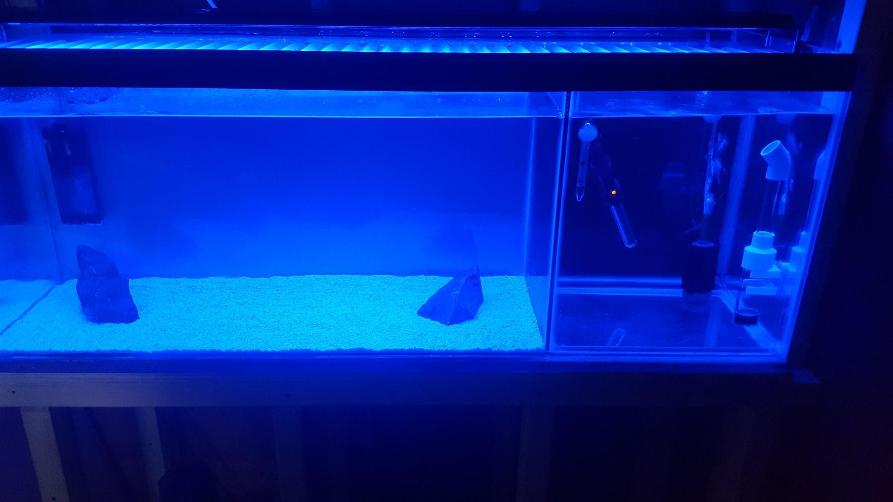 4ft breeder tank in BB1 Shadsworth for £70.00 for sale Shpock