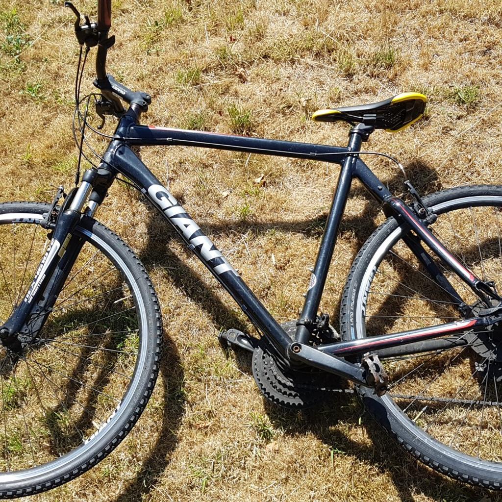 giant xl mountain bike