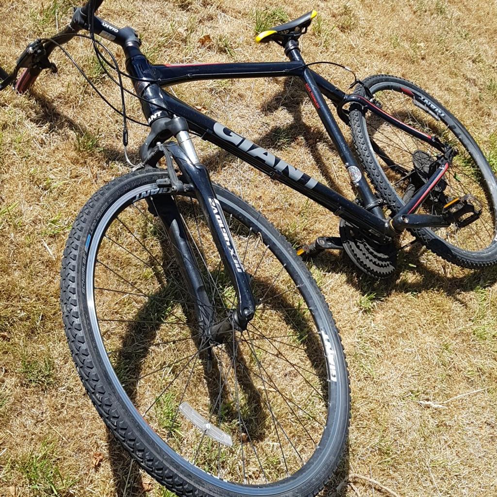 giant xl mountain bike