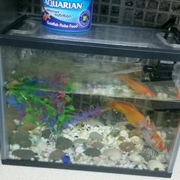 LENGTH 31CM WITDTH 18cm Hight 24cm 2 lovely fishes as well
