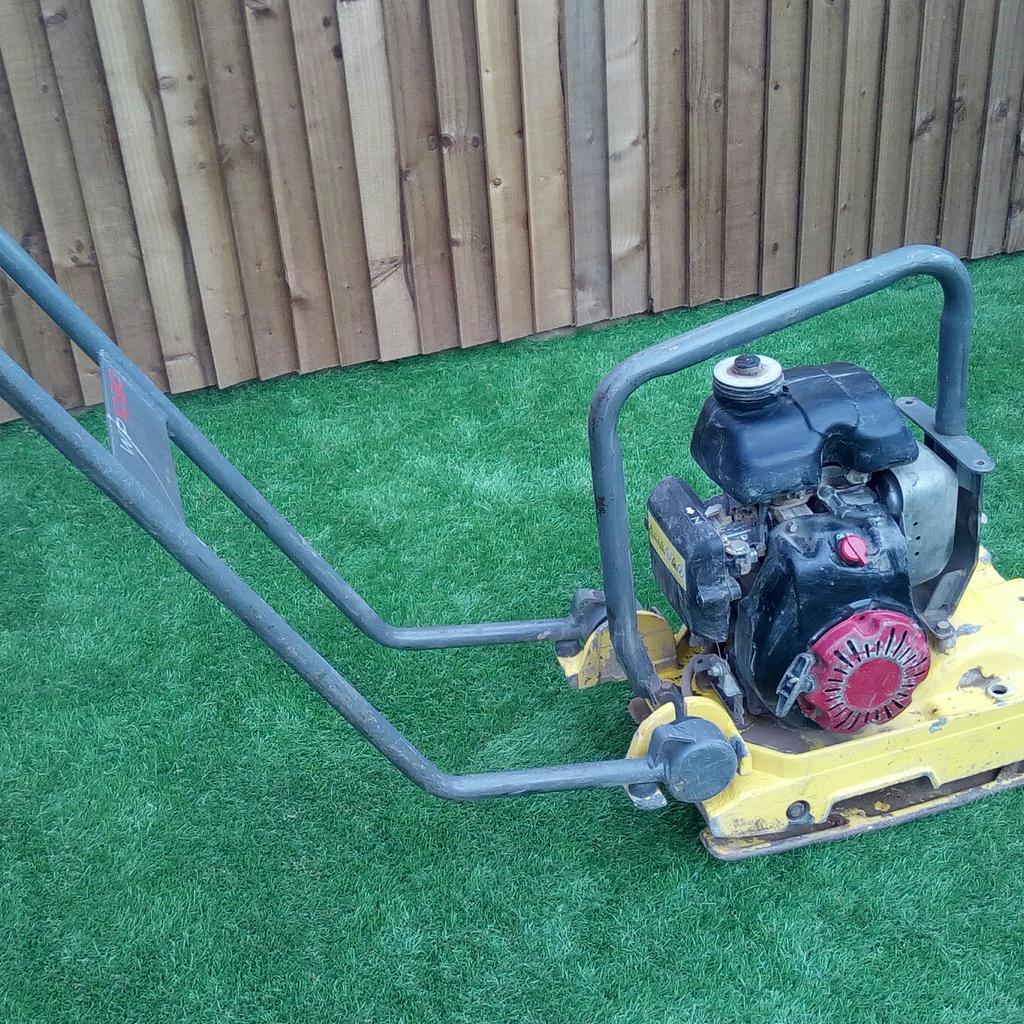 Neuson WP1030 WACKER PLATE COMPACTOR in BL3 Bolton for £320.00 for sale