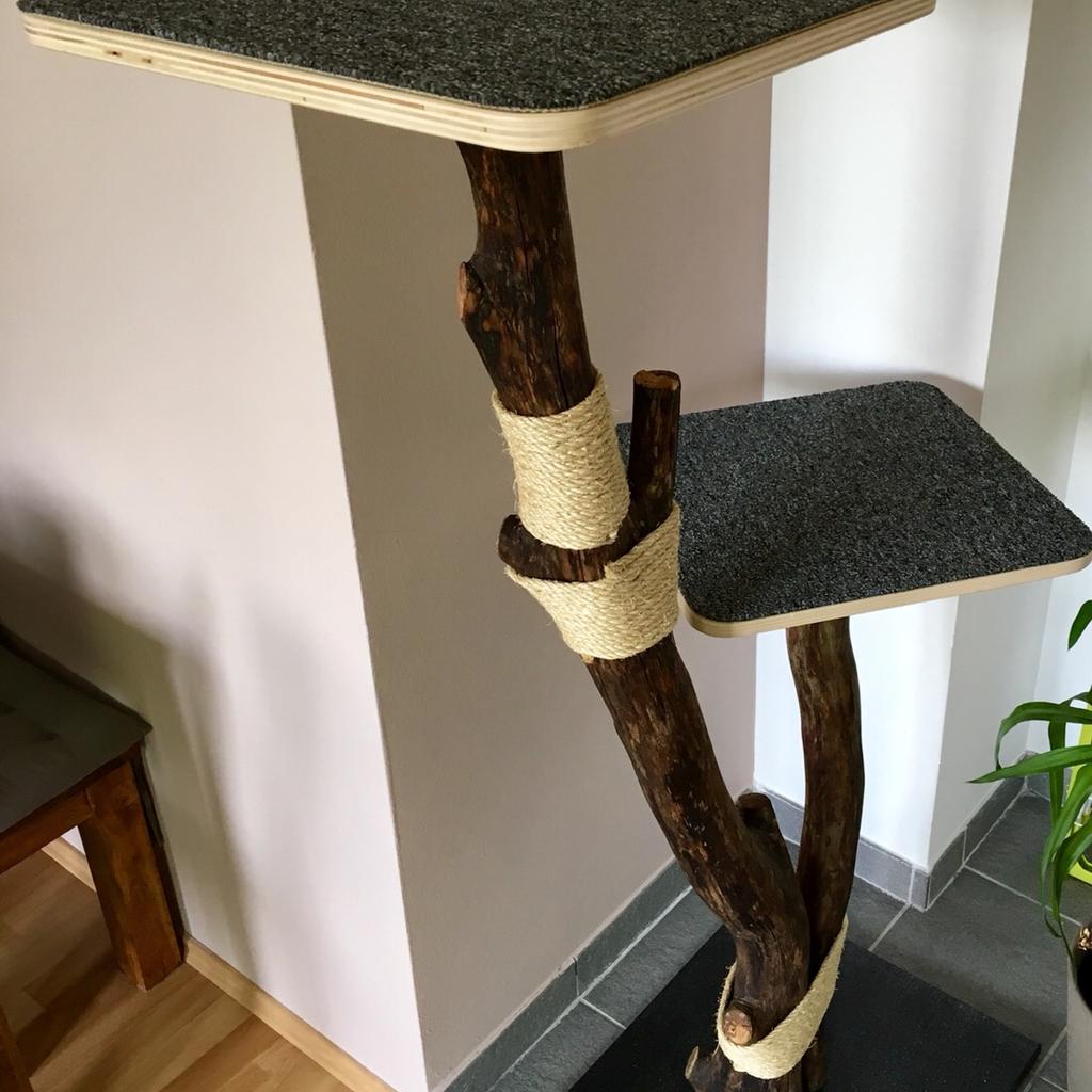 Echter Baum Als Kratzbaum