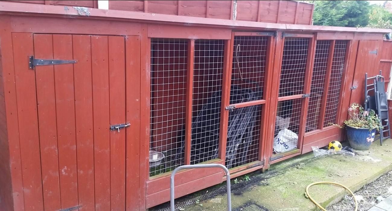 Double dog run in Walsall for £250.00 for sale Shpock