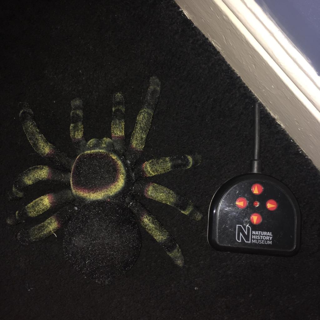 Remote Control tarantula in LL18 Rhyl für £ 10,00 zum Verkauf | Shpock AT