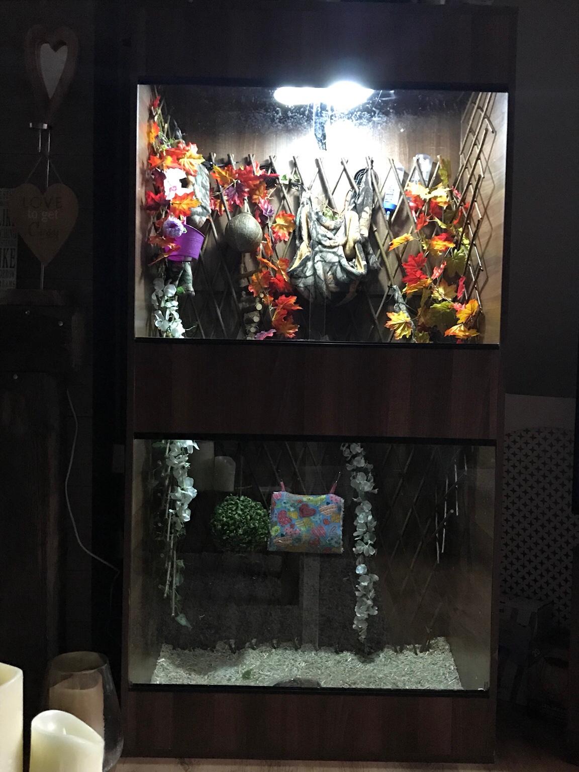 sugar glider custom vivarium in Fenland für £ 250,00 zum Verkauf Shpock AT