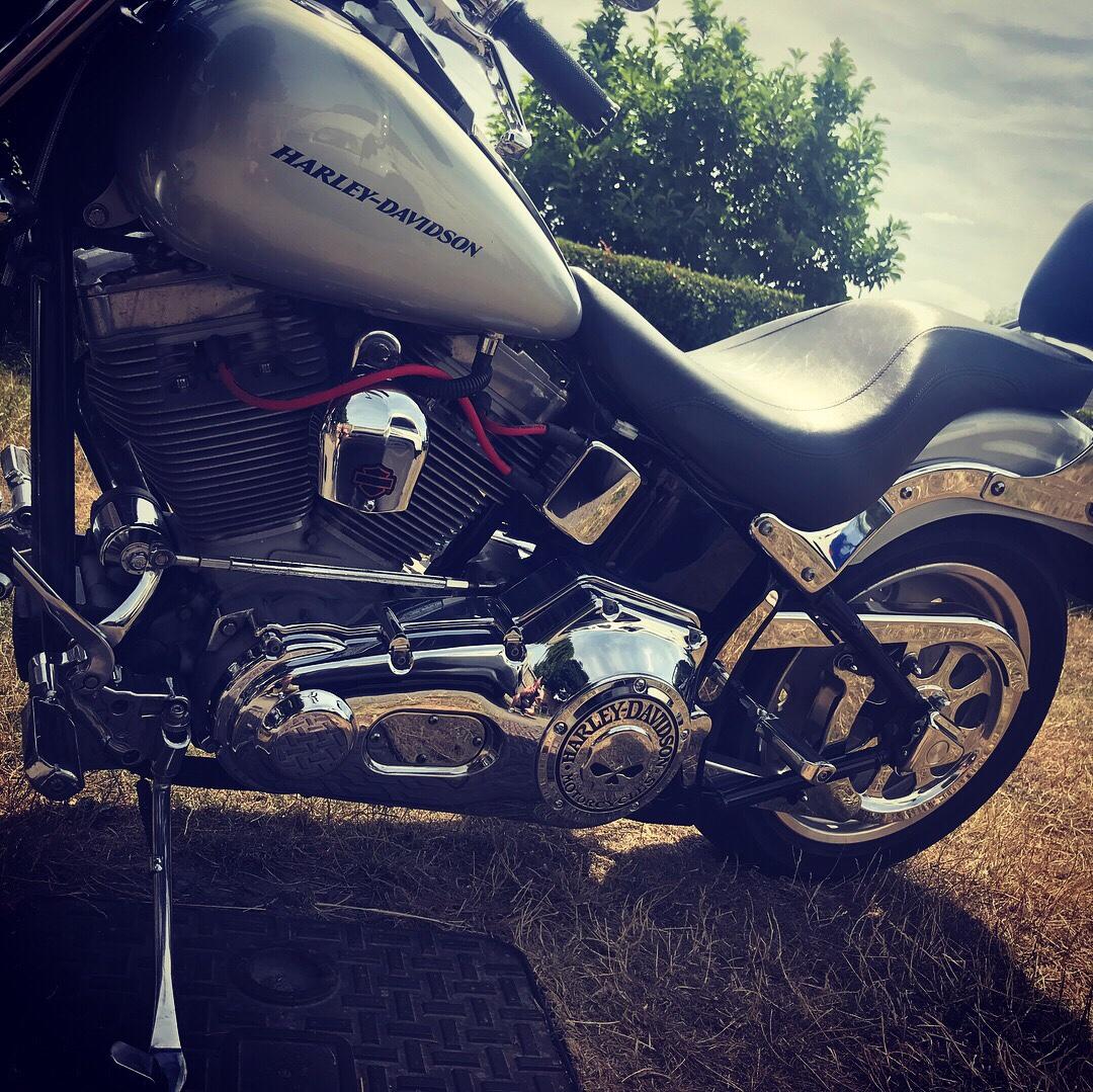 Harley Davidson FXSTI Softail Standard in S43 Chesterfield für 5.500,00 ...