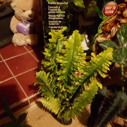 Tonbridge.  Various artificial plants for vivarium. No longer required as our vivarium is now bio rain forest. £15 for all or can consider individually.