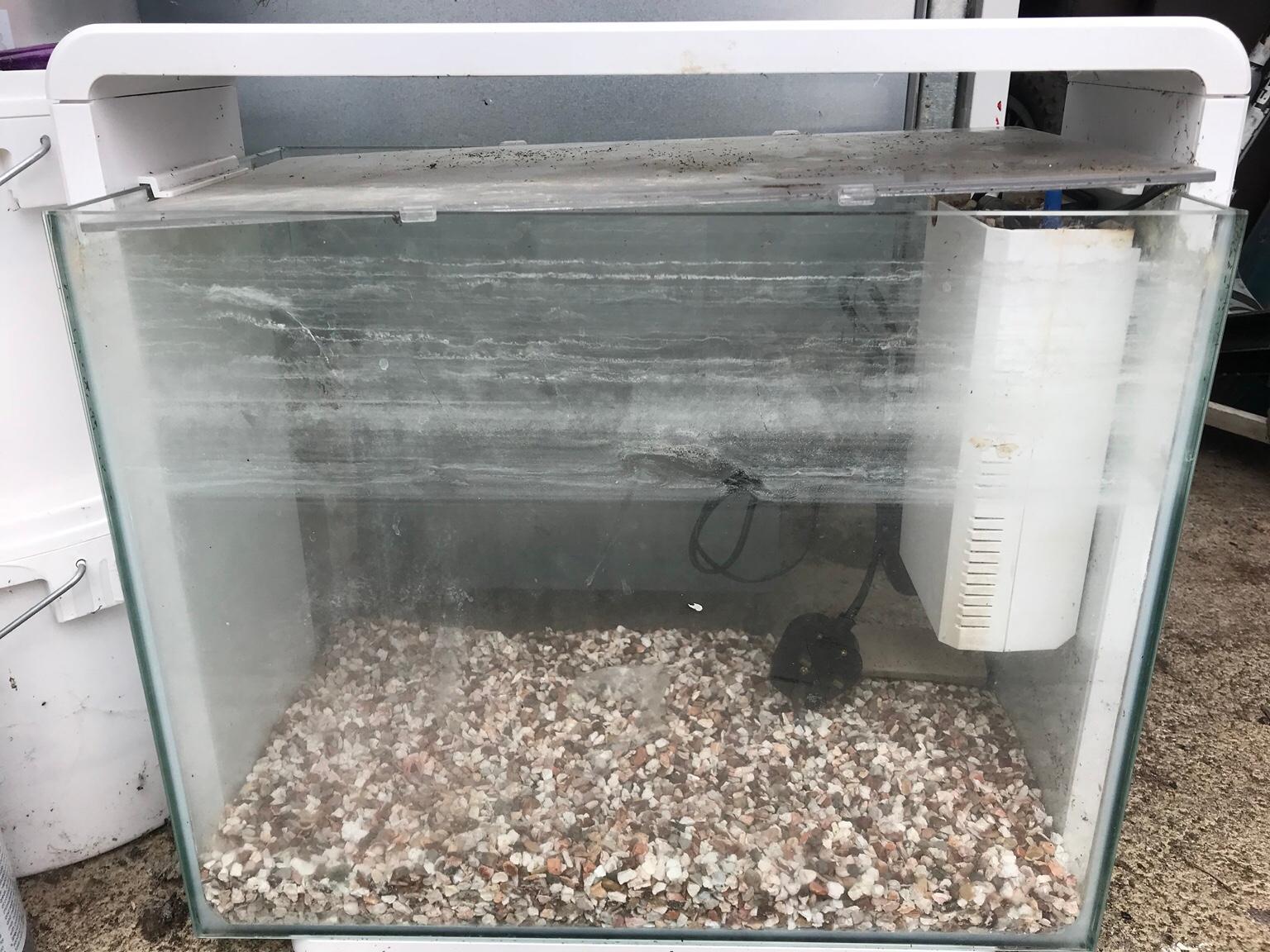 fish-tank-in-king-s-lynn-and-west-norfolk-for-10-00-for-sale-shpock