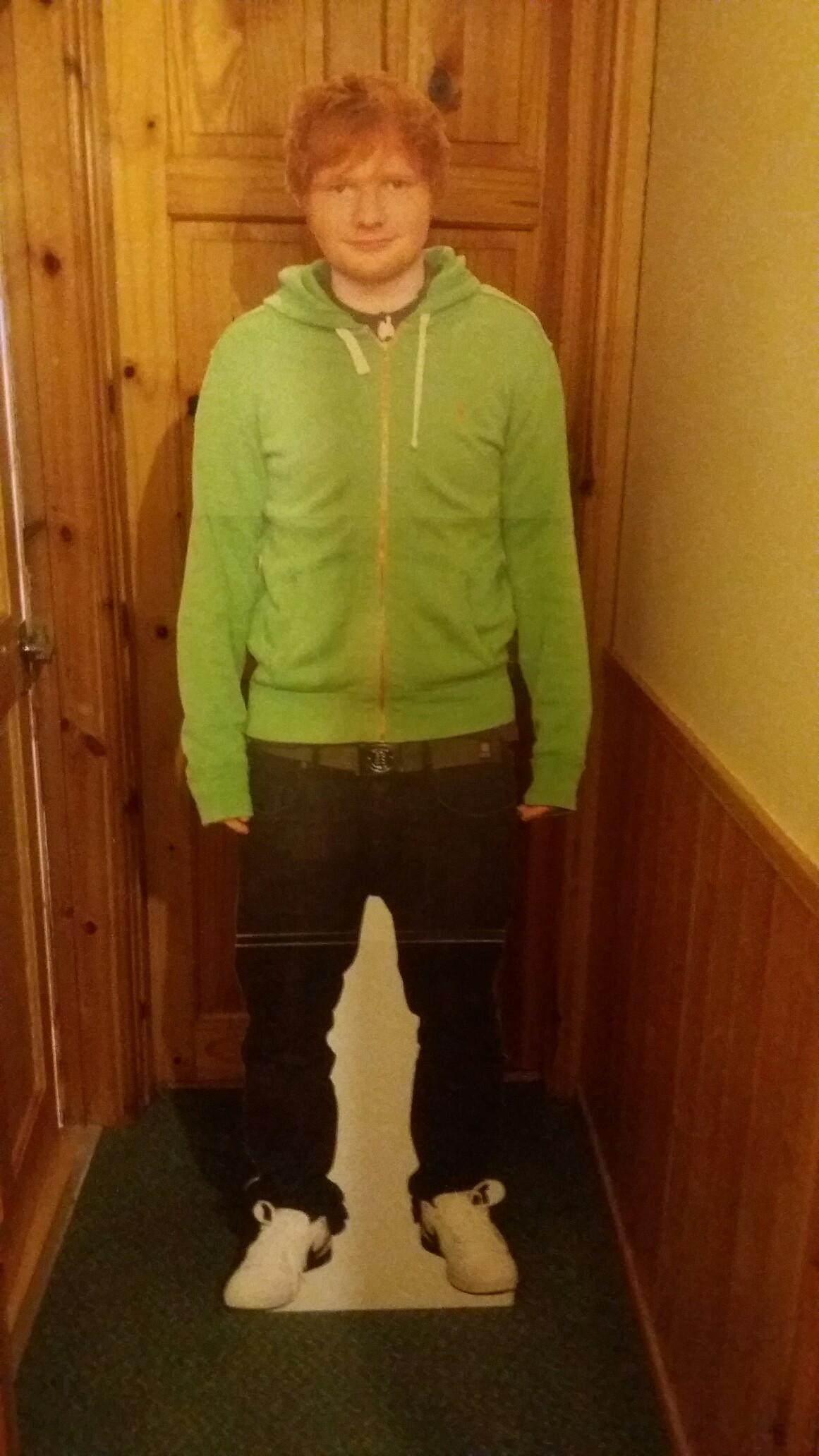 Full size ed sheeran cardboard cutout in Walsall for £5.00 for sale