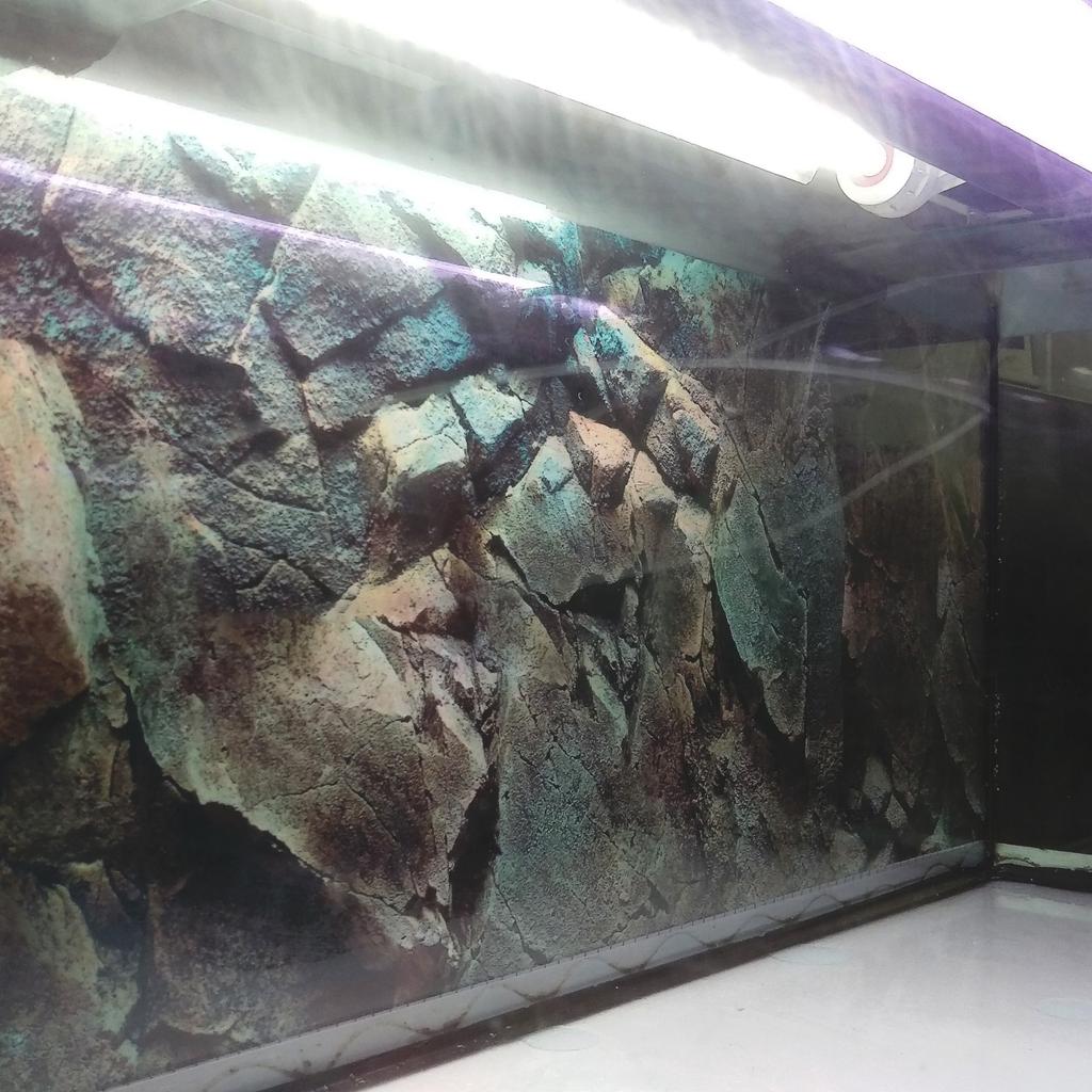 RENA aqualife 150 aquarium fishtank 180 Litr in TN4 Wells for £70.00