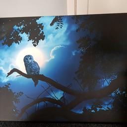 Beautiful owl canvas picture excellent condition