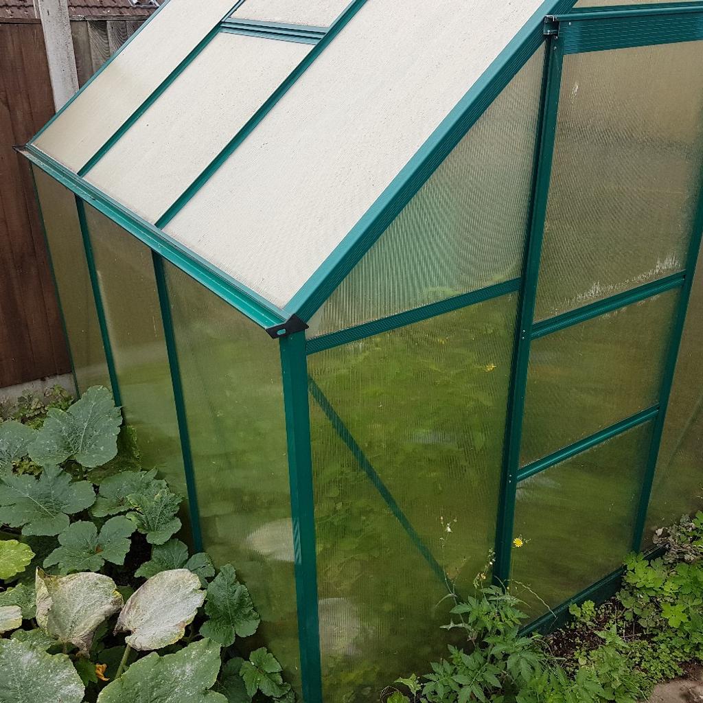 6'x6' Greenhouse in NG22 Sherwood für 150,00 £ zum Verkauf | Shpock DE