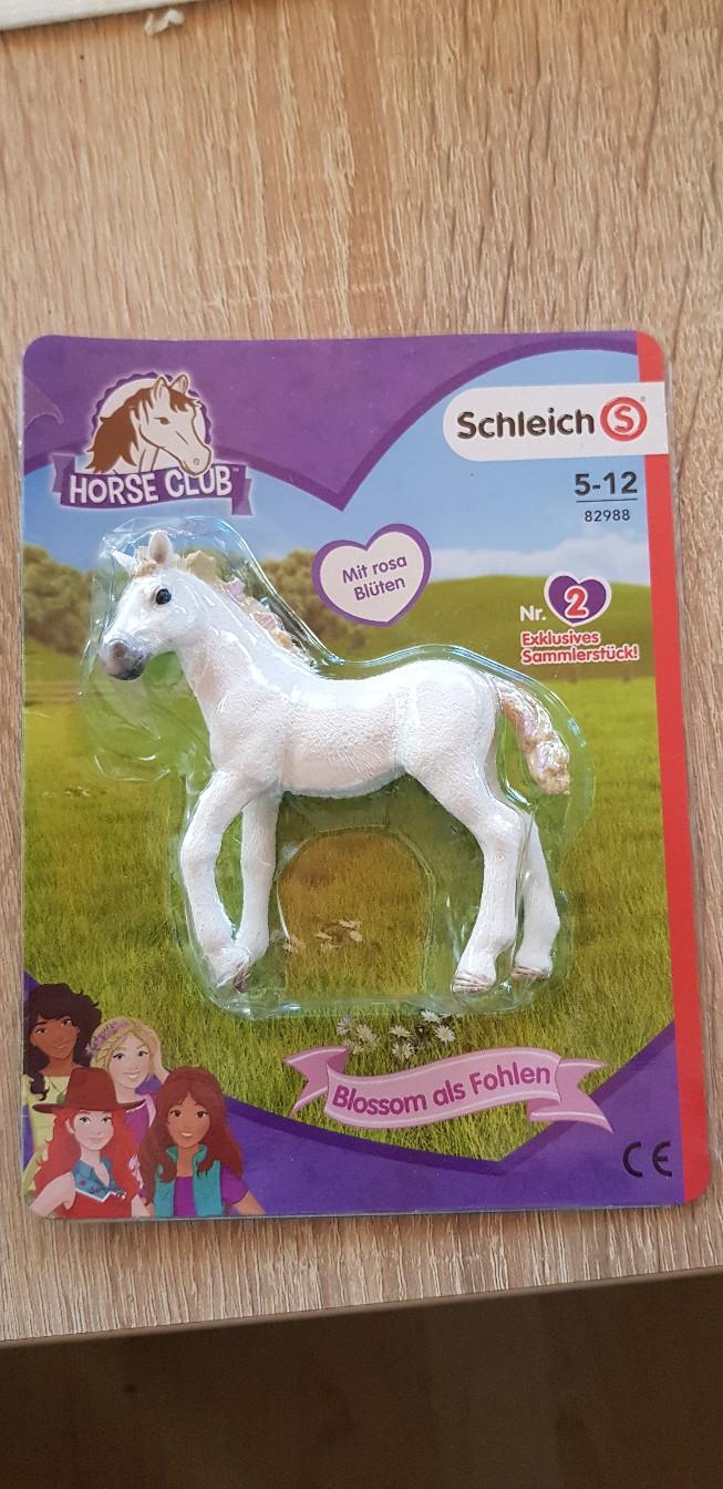 25348 Engelbrechtsche Wildnis