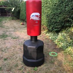 Punching/kicking gym bag with stand. We call him Barry!