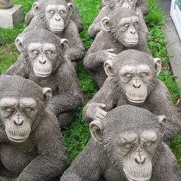 Chimps excellent quality no offers please check my other ad's £15 each